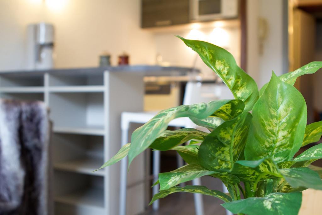 Les Melezes Apartment Saint Chaffrey Ruang foto